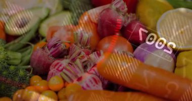 HUD overlays starting on frame one, sliding, rotating, pulsing over produce, showing freshness data. Closeup, macro, colorful, vibrant, carrots, radishes, avocado