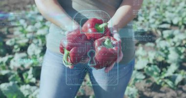 Çiftlikte üç kırmızı biber tutan dişi yetiştirici HUD taramasını başlatıp, analizi tamamlıyor. Tarım, tarla, kapsiyum, üretim, çiftçi, açık hava, güneş ışığı