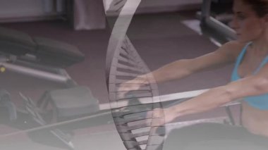 Kürek çeken, kavrayan ve çeken yarı şeffaf sarmal hareket eden bir kadın. Jimnastik, kardiyo, ekipman, bank, 3D, kaplama, DNA