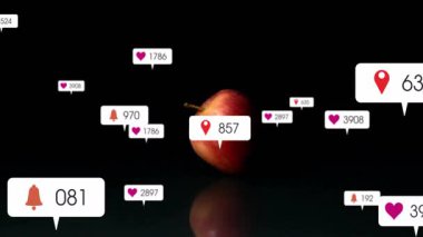 Kırmızı elma sunucu simgelerinin yanında beliren bilgilendirme simgesi betimlemeleri gösteriyor. Meyve, kırmızı, parlak, yansıma, stüdyo, minimum hareket