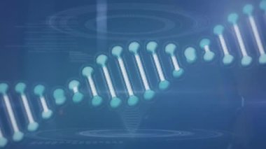Mavi arka planda bilimsel veri işleme üzerinde dönen DNA iplikçiklerinin animasyonu. Küresel tıbbi araştırma teknolojisi dijital veri ve iletişim konsepti dijital olarak oluşturulmuş video.
