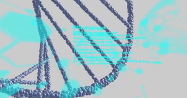 Gri arkaplandaki DNA üzerinde tıbbi veri işleme animasyonu. Bağlantı, bilim, tıbbi araştırma, sağlık, dijital arayüz ve iletişim, dijital olarak oluşturulmuş video.