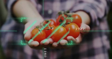 Kameraya vişneli domatesleri sunan bir kadın, yiyecek analizi için HUD görünüp değerleri tarıyor. Ürün, hasat, eller, bahçe, açık hava, ekose, yakın çekim