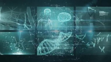 Veri işleme üzerindeki bağlantı küresinin animasyonu. küresel bağlantılar, bilim ve dijital arayüz konsepti dijital olarak oluşturulmuş video.