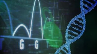 Mavi arka planda bilimsel veri işleme üzerinde dönen DNA iplikçiklerinin animasyonu. Küresel bilim veri işleme bağlantıları ve dijital arayüz konsepti dijital olarak oluşturulmuş video.