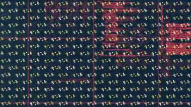 Moleküllerin dokusu ve ışıklarıyla siyah arkaplan üzerinde bilgisayar kodunun animasyonu. bilgisayarlar, programlama, teknoloji ve dijital arayüz kavramı dijital olarak oluşturulmuş video.