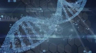 DNA ipliği ve kara arkaplanda veri işleme üzerinden bağlantı ağının animasyonu. Küresel bilim veri işleme ve dijital arayüz konsepti dijital olarak oluşturulmuş video.