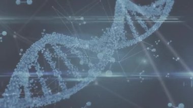 DNA ipliği ve insan beyni ile bağlantı ağının animasyonu. Küresel bağlantılar teknolojisi ve dijital arayüz kavramı dijital olarak oluşturulmuş video.