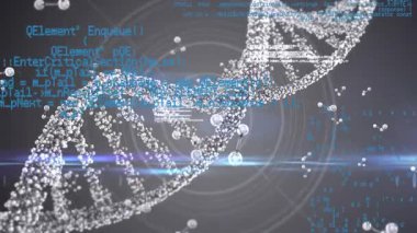 Bilim adamlarının veri işleme animasyonu ve gri arka planda DNA ipliği. küresel bilim, bağlantılar, veri işleme ve dijital arayüz kavramı dijital olarak oluşturulmuş video.