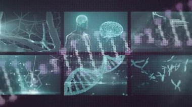 Ekranlar üzerinde bilimsel veri işleme animasyonu. Küresel bilim, hesaplama, bağlantılar, ağlar ve veri işleme kavramı dijital olarak oluşturulmuş video.