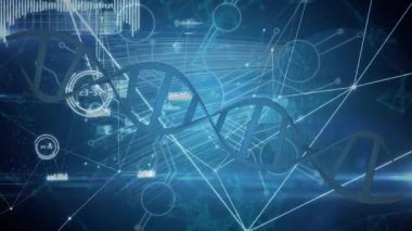 DNA animasyonu, noktaları birleştirme, dijital arayüzde hud işleme ile grafikler. Dijital bileşik, noktaları, ağ oluşturma, biyoteknoloji, bilim ve teknoloji, bağlantı, veri işleme