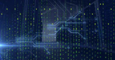 Bu video ikili kod kullanan bir bilgisayar işleme verisini gösterir. Veri, şeffaf bir arkaplan üzerinde hareket eden yeşil kod olarak gösterilir. Video, verinin bir bilgisayar devre kartında işlenmesiyle bitiyor..