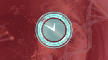 DNA sarmalının üzerinde dönen zamanlayıcı animasyonu, çizgiler ve virüs hücreleriyle birleşen noktalar. Dijital olarak üretilmiş, illüstrasyon, saat, tahmin, mikro organizma, bakteri, genetik, sağlık, tıbbi.