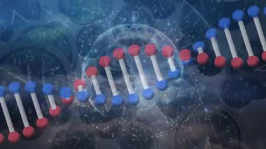 Saatlerin üzerinde DNA ipliği ve küre animasyonu. Küresel iş ve dijital arayüz kavramı dijital olarak oluşturulmuş video.