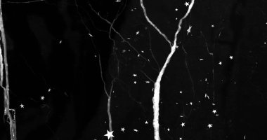 Koyu yüzey üzerinde beyaz yıldızlar ve çatlaklarla merkezi dikey damar dallanması gösteriliyor. Tek renkli, yüksek kontrast, desenli, mermer, panel, soyut, desen