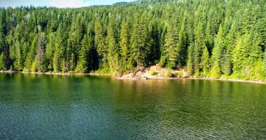 Göl suyu düz yeşil göl sahnesinde parıldıyor, kayalık kıyı şeridini ve uzun çam ağaçlarını gösteriyor. Huzur, doğa, manzara, sükunet, vahşi doğa, yansıma, açık hava