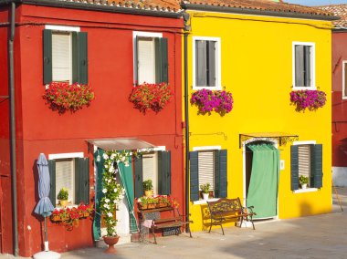 Sarı veya kırmızı