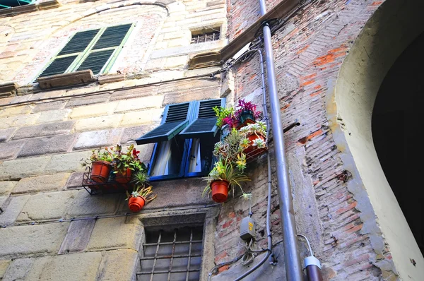 Nice balcony with flowers — Stock Photo, Image