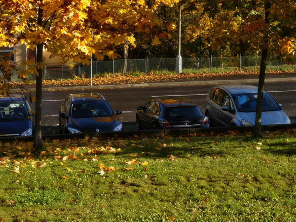 Legtöbb Cseh Köztársaság Október 2020 Parkoló Autók Őszi Utcában — Stock Fotó