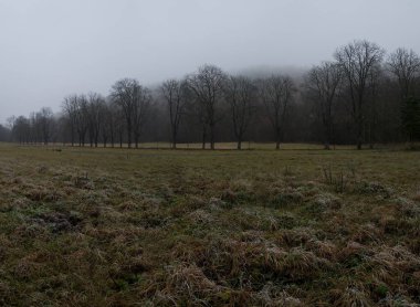 Bezrucovo Udoli, Çek Cumhuriyeti - 25 Kasım 2020: Sonbahar sisli havasında ara sokakla manzara