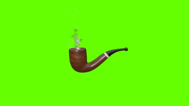 Tuberías Fumar Con Humo Pantalla Verde Vintage Tabaco Fumar Tubos — Vídeos de Stock