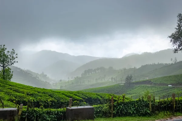 Munnar Theeplantage Zonsondergang Theeplantages Munnar Kerala India — Stockfoto