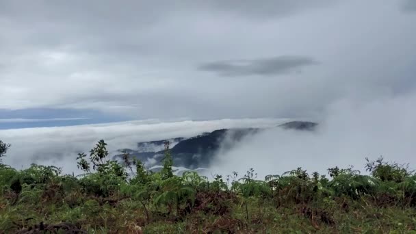 Cinematic Time Caps Moving Fog Green Hills Munnar Kerala India — стокове відео