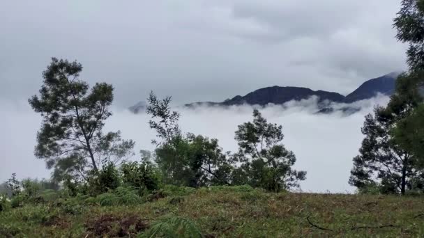 シネマティック タイム ラップ インド ケーララ州ムナーの緑の丘の上で霧を動かす 山を越える雲のタイムラプス — ストック動画