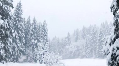 Noel Kış Karları Arkaplan 4K Animasyonu Mutlu Noeller ve Noel Ağacı Kış Arkaplanı. Mutlu Noeller teması ve Xmas Arkaplan Görüntüsü.