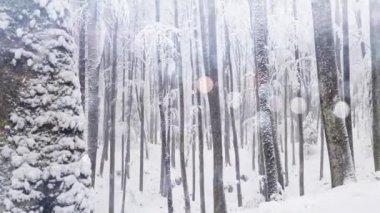 Noel Kış Karları Arkaplan 4K Animasyonu Mutlu Noeller ve Noel Ağacı Kış Arkaplanı. Mutlu Noeller teması ve Xmas Arkaplan Görüntüsü.