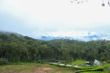 Munnar Bahçesi ve Çay Çiftliği. Munnar 'daki çay çiftlikleri, Kerala, Hindistan. Resimleri Stokla