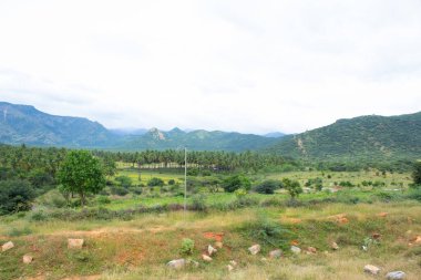 Güney Hindistan 'ın tepeleri ve çiftlikleri, Tamilnadu arazisi. Güzel tarım arazileri. Güney Hindistan 'ın Theni Bölgesi tepelerinden bir manzara. Resimleri Stokla.
