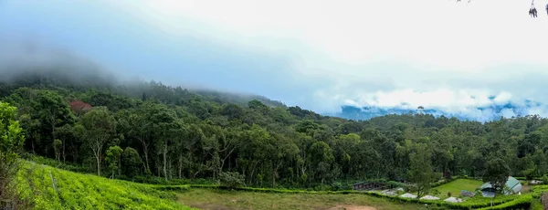 Panoramablick Munnar Garten Und Teeplantage Teeplantagen Munnar Kerala Indien Archivbilder — Stockfoto