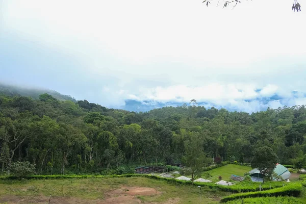 Φυτεία Munnar Garden Και Τσάι Φυτείες Τσαγιού Munnar Κεράλα Ινδία — Φωτογραφία Αρχείου