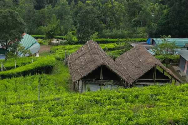 Schöne Home Stay Villa Liegt Zentrum Der Teeplantage Munnar Kerala — Stockfoto