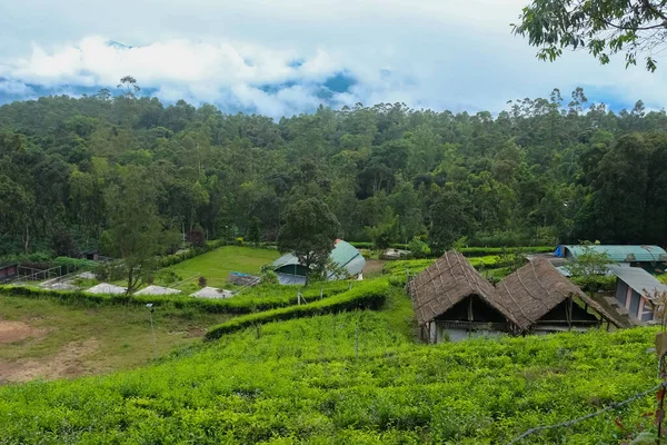 Hermosa Casa Estancia Villa Situada Centro Plantación Munnar Kerala India — Foto de Stock