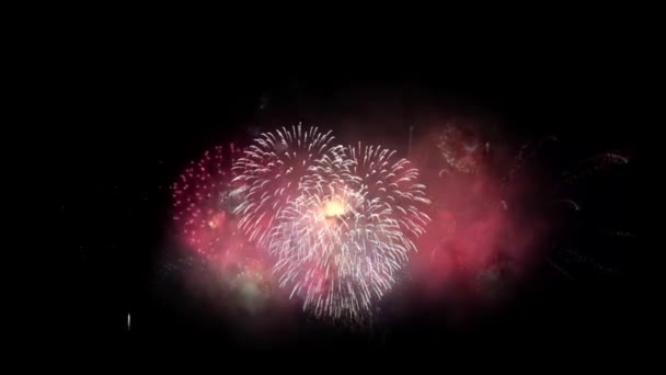 Beautiful Fireworks Explode Back Background Celebration Day Animation Alpha Channel — Stock Video