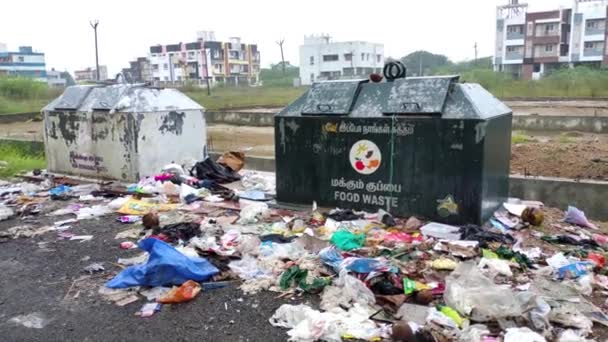 インド チェンナイ 2021年1月2日 ストリート ガベージダンプで廃棄物を捜索するストリート ドッグ スカベンジが負傷 — ストック動画