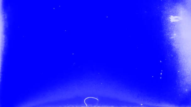 Gürültülü Eski Film Görünümü Mavi Ekran Matte Arkaplanındaki Tiyatro Projektörü — Stok video