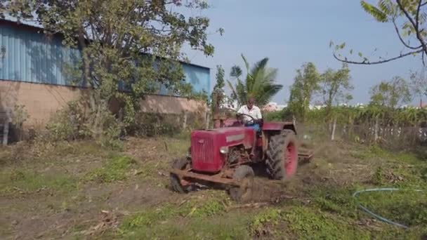 印度钦奈 2021年2月11日 资深农民使用旧拖拉机犁地务农 阳光普照的农民犁地用播种机进行耕作 — 图库视频影像