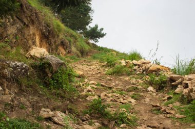 Dağ Manzarası ve Tepe İzleme ve Kamp Yolları - Seyahat Konsepti Resimleri.