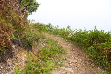 Dağ Manzarası ve Tepe İzleme ve Kamp Yolları - Seyahat Konsepti Resimleri.