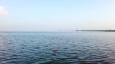 Chembarambakkam Gölü 'nün su çıkışı Chennai 4K Stok Video' da. Chennai 'deki en büyük su ikmali gölü. Chennai Metro 'su