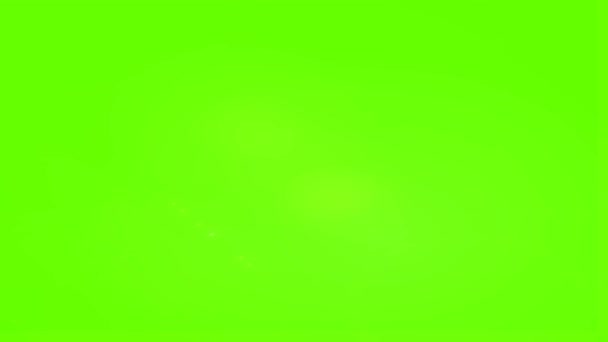 Optical Solar Light Lens Flare Effect Isolated Green Screen Matte — 비디오