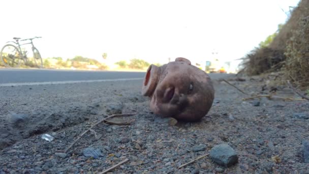 Horror Doll Head Highway Road Stock Footage Cabeza Muñeca Abandonada — Vídeo de stock