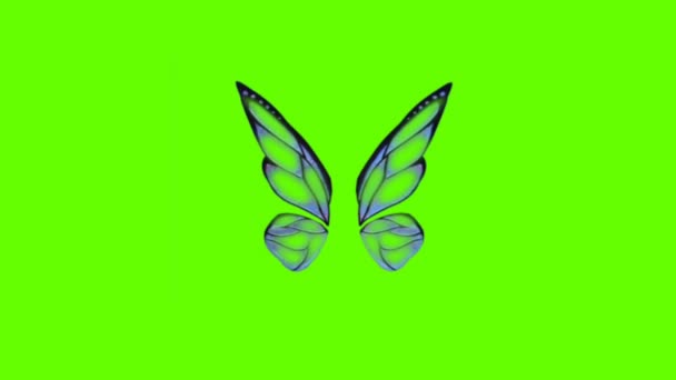 Piękne Skrzydła Motyli Zielonym Ekranie Matte Tle Animacja Stock Video — Wideo stockowe