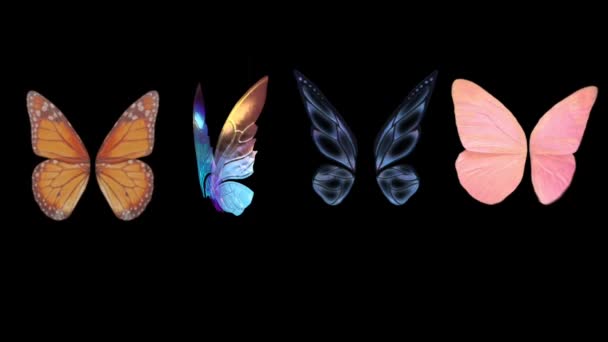 Group Colorful Butterfly Wings Background Animation Stock Footage Butterfly Stock — Stock Video