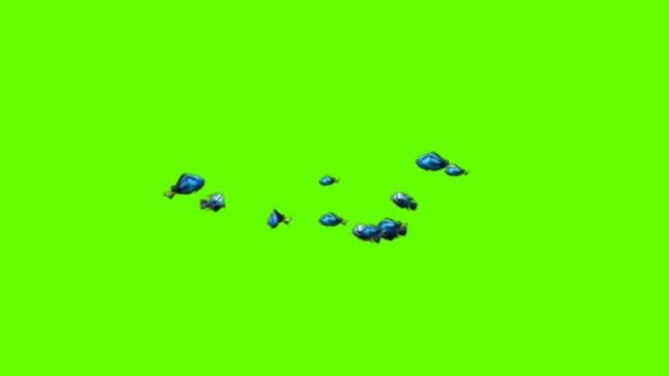 Группа Аквариумных Рыб Плавающих Зеленом Экране — стоковое видео