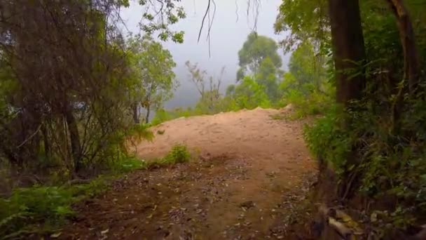 Road Trekking Walking Mountain Forest Stock Footage — Stock videók