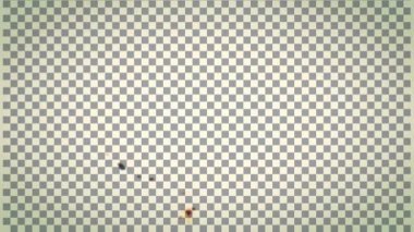 Alpha Channel Matte 'da Yangın Yanması 3 boyutlu Kusursuz Döngüsüz Döngü 4K Animasyon - Süper Yanan Yangın Hattı Arka planı - Alpha Screen Matte Stock Görüntüsü.